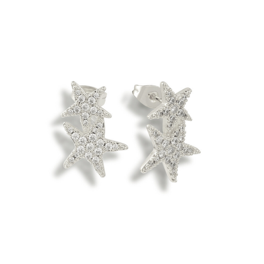 Hidden in the Sand Earrings - EVRYJEWELS