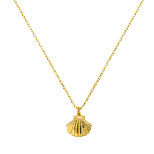 Seashell Necklace - EVRYJEWELS