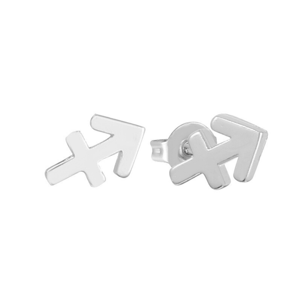 Stargazing Earrings - EVRYJEWELS