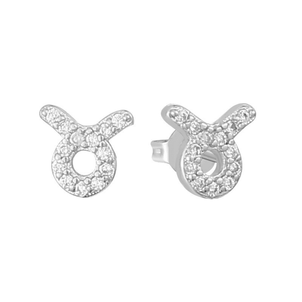 Stargazing Earrings - EVRYJEWELS